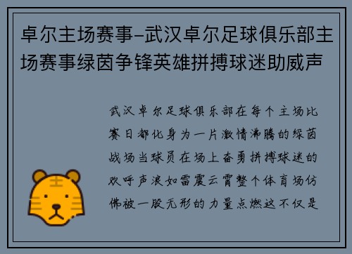 卓尔主场赛事-武汉卓尔足球俱乐部主场赛事绿茵争锋英雄拼搏球迷助威声震云霄